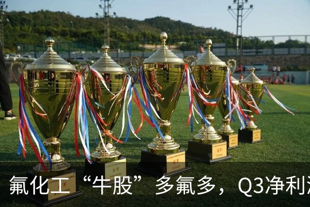 氟化工“牛股”多氟多，Q3净利润环比下降41%，股价较年内高点回撤56%