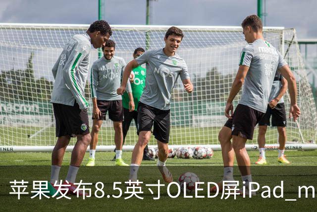 苹果发布8.5英寸OLED屏iPad mini，起售价699美元